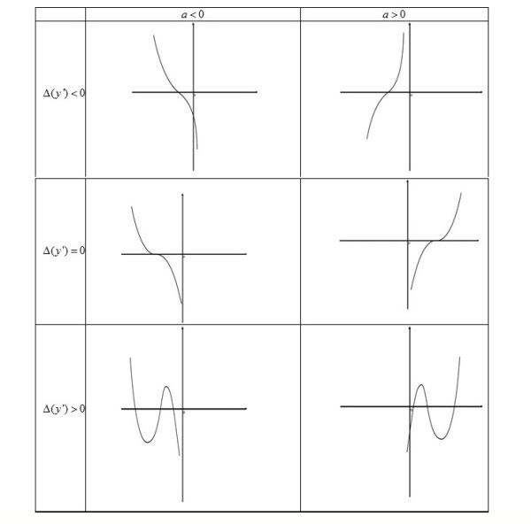essay on cubic function (3)
