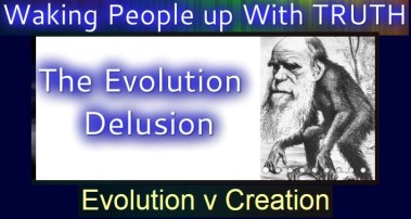 Evolution-Delusion
