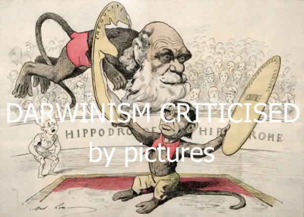Darwinism (1)