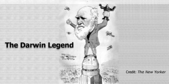Darwinism (10)