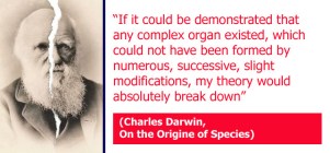 Darwinism (20)a