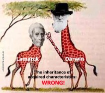 Darwinism (23)