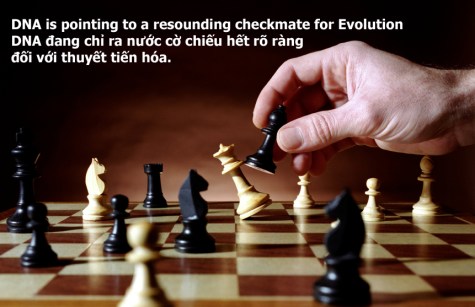 DNA the knell for evolution (3)