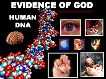 Evidence of God