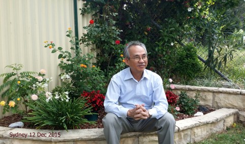 PVHg_2015.12.12 (14)