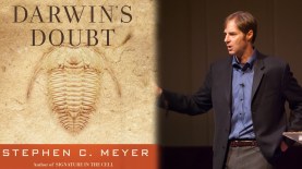 Darwin's doubt_Stephen Mayer