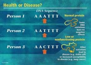 GeneticVariation_mutation