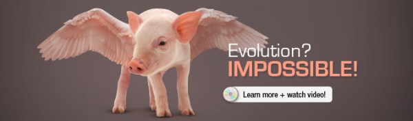 Impossible-button-video