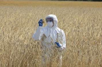 iStock_000026889233_Medium-676x450