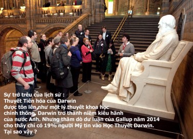 darwin-statue-night-safari