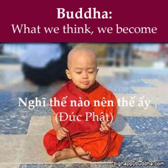 2b1c0a4434a88265f0f20adb0902205b copy