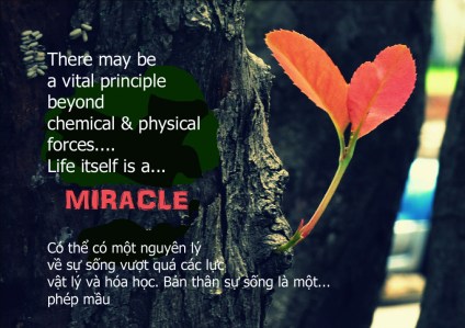 11351713503_6c8e233c38_b copy