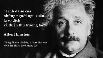 einstein-big-idea-merl-copy