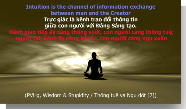 wisdom-stupidity-2-1