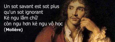 wisdom-stupidity-2-4