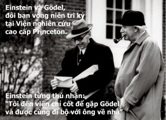 wisdom-stupidity-2-7