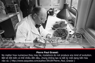 pierre-paul_grasse-2-copy