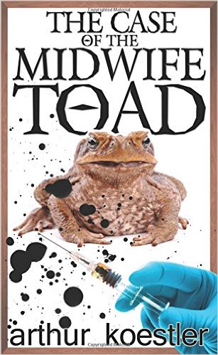 517xnm8sg-l-_sx305_bo1204203200_