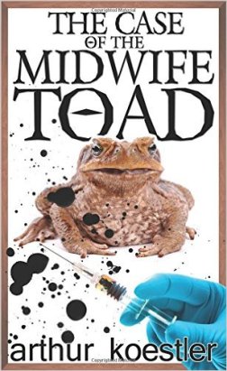 517xnm8sg-l-_sx305_bo1204203200_